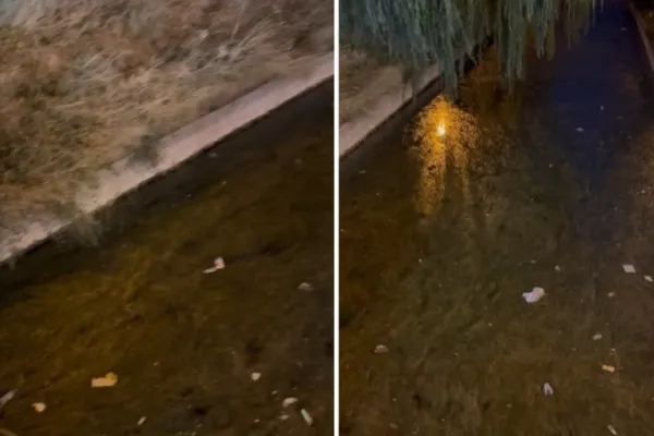 ANPC, semnal de alarmă pentru turiști: Pârâul care face legătura dintre Siutghiol şi Lacul Tăbăcăriei, un FOCAR DE INFECȚIE - VIDEO