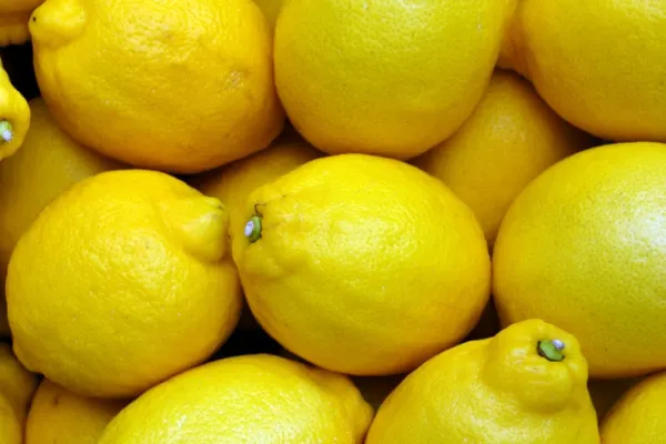 Nu mai consuma lămâi dacă suferi de una din aceste boli. Cum îți pui sănătatea în pericol