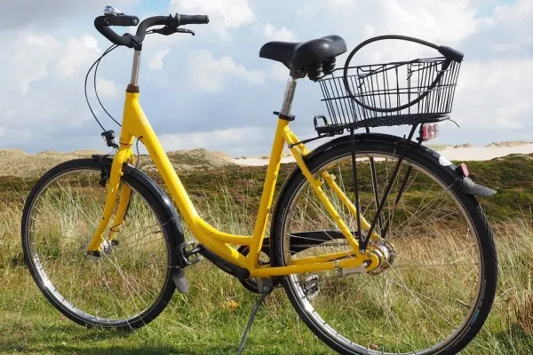 Un medic de la Spitalul Urlați a uitat într-un pacient mânerul de frână de la bicicletă, după un accident. L-a cusut și l-a trimis acasă - FOTO