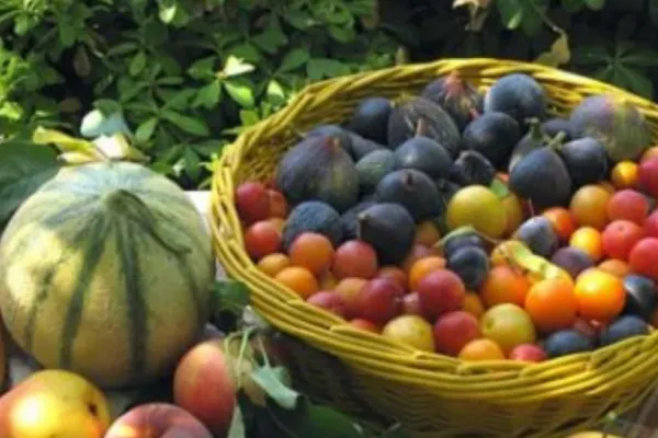 Cum pierzi kilogramele în plus cu 10 fructe şi legume de toamnă - Trebuie să renunți la 2 produse periculoase pentru sănătate