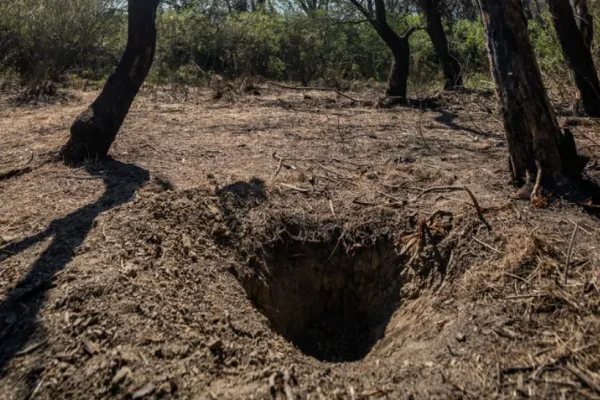 Armata a găsit resturi de drone rusești în județul Tulcea, după atacurile armatei lui Putin de la granița cu Ucraina. Anunțul MApN