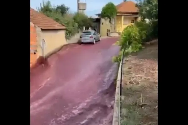 Un sat din Portugalia a fost inundat cu vin roșu - Cum a fost posibil un asemenea accident