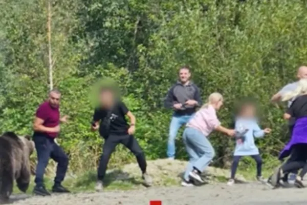 Inconștiență maximă pe Transfăgărășan! Un grup de turiști și-a adus copiii pentru o ședință foto improvizată cu ursul