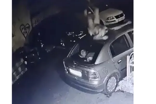 Răspunsul autorităților, după ce tânărul drogat bătut de polițiști a murit la spital