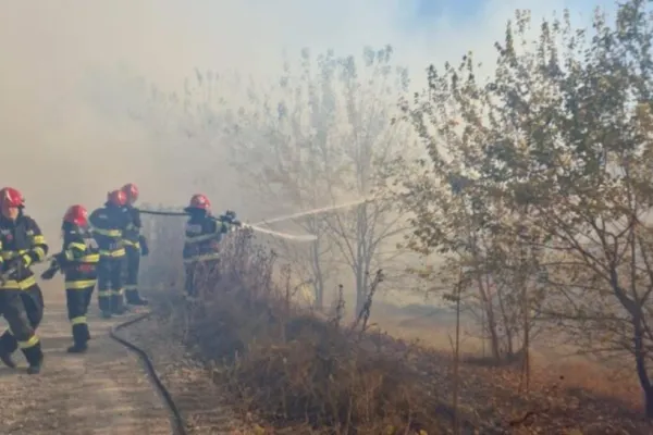 Incendiu de proporții în Delta Dunării. A luat foc pădurea din Plauru, localitatea unde tot cad drone rusești FOTO