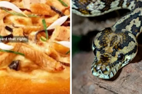 O nouă specialitate de pizza îi uimește pe fanii acestui produs. Preparatul cu carne de șarpe, introdus în meniul celui mai cunoscut restaurant din lume