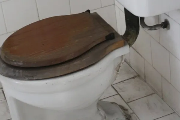 Șeful bugetarilor de la Guvern cere spor pe motiv de stafilococ auriu. Bacteria se ascunde în toale