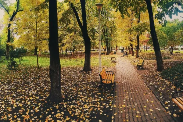 Accesul auto în parcuri: Propunerea proprietarului restaurantului din Parcul Tei pentru gestionarea gunoiului și aprovizionare. Ce i-au răspuns consilierii