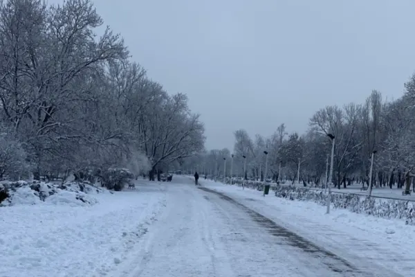Primăria Municipiului București, sancționată contravențional de către polițiștii locali ai Sectorului 4 pentru trotuarele pline de gheață și zăpadă