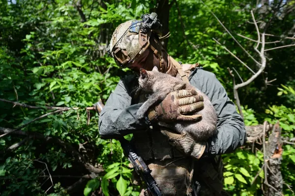 Ministrul Apărării, Angel Tîlvăr, la 2 ani de război: Vom fi alături de Ucraina atât timp cât va fi nevoie