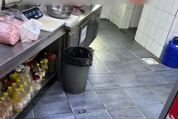 Gândaci și mizerie la cel mai cunoscut restaurant din Sectorul 2! Unitatea a fost închisă temporar de ANPC