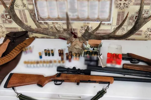 Captură impresionantă a polițiștilor într-un caz de braconaj cinegetic: 19 arme letale și 2.279 de cartușe