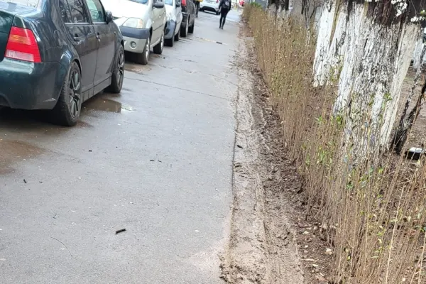 Alertă în București. Polițiștii caută un suspect care a spart geamurile de la 16 autoturisme, în sectorul 6