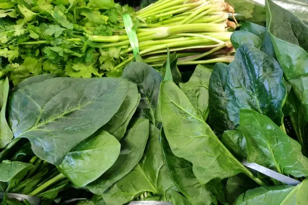 "Verdețurile" pe care trebuie să le incluzi neaparat în alimentația ta în această primăvară. Sunt sănătate curată