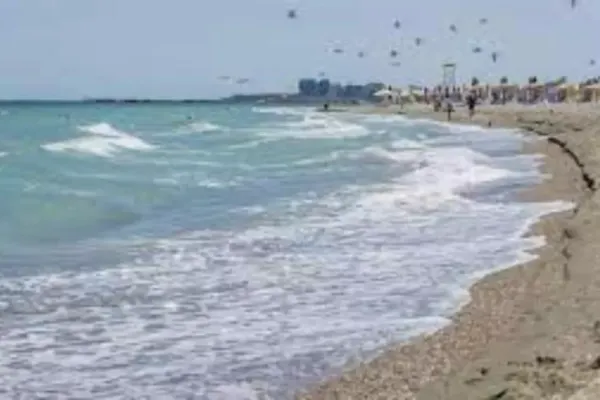Marea Neagră a fost invadată de o specie periculoasă din cauza războiului cu Ucraina. „Să cazi în apă este chiar mai grav decât să te îneci”
