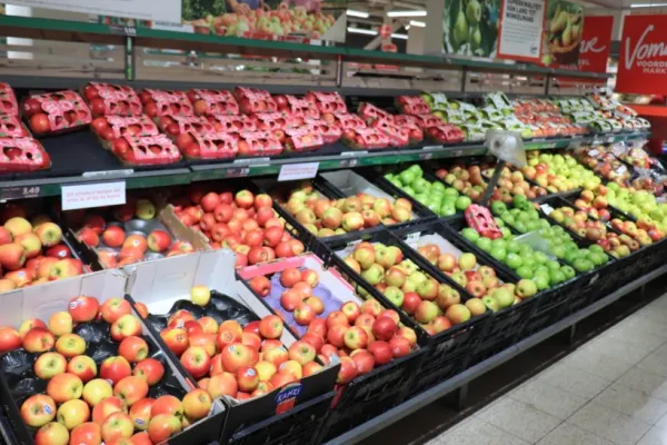Fructe și produse lactate pentru elevi și preșcolari. Hotărârea, adoptată de Guvern