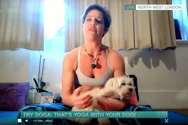Yoga cu căței, interzisă în Italia."Doga" este tot mai populară, inclusiv în România