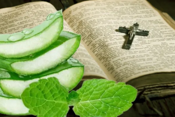 Cele 10 remedii naturale menționate în Biblie. Ghidul plantelor miraculoase pentru sănătatea și binele tău