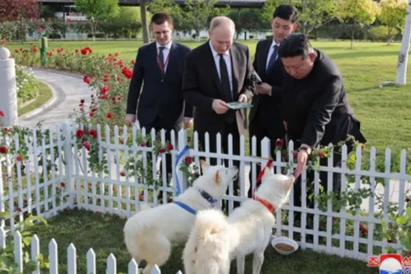 Cadourile pe care le fac dictatorii între ei: Kim Jong Un i-a dăruit lui Vladimir Putin doi câini de vânătoare. Ce a dat țarul de la Kremlin la schimb