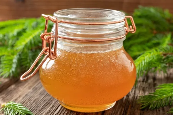 Sirop din muguri de pin. Un adevărat elixir pentru sănătate
