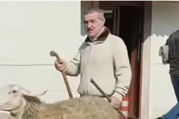 Gigi Becali sare în apărarea oierilor:  Să vină de la ANSVAS și să taie o oaie bolnavă, eu o MĂNÂNC în fața lor