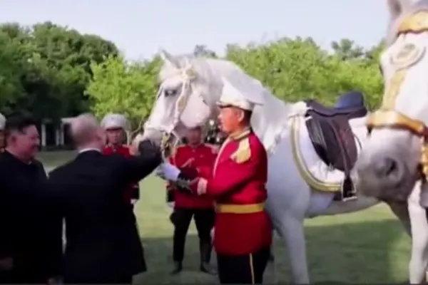 Vladimir Putin i-a dăruit lui Kim Jong-Un 24 de cai de rasă. Schimb de daruri între dictatori - VIDEO