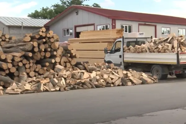 Prețuri mai mari la lemne. Pensionarii își fac deja provizii pentru iarnă VIDEO