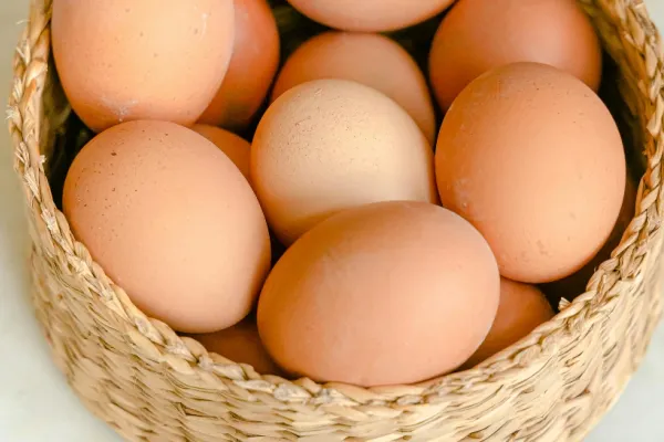 Produsele alimentare din Ucraina, vândute mai ieftin decât cele românești. Fermierii sunt revoltați