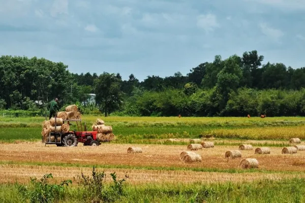 Bani de la guvern pentru fermieri pentru a-şi achiziţiona utilaje agricole. Ce condiții trebuie să îndeplinească