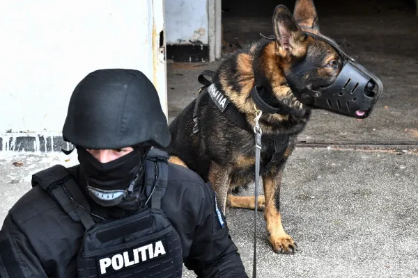 Operațiunea Jupiter. Descinderi la mafia contrabandiștilor: peste 70 de percheziții - ce caută mascații