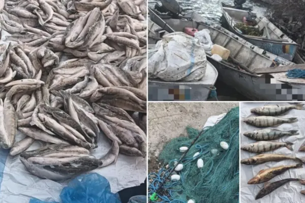 Captură uriașă de specii rare de pește, confiscată de polițiști