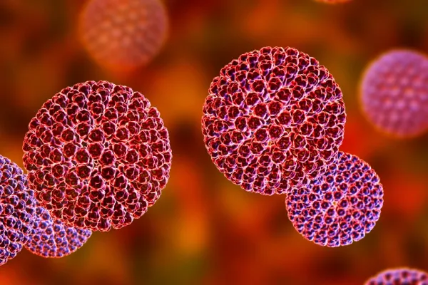 Focar de norovirus într-o școală din Brașov! De la ce s-au infectat copiii