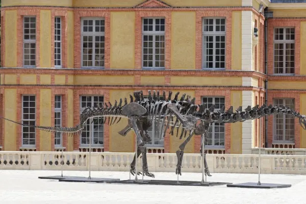 Suma exorbitantă cu care s-a vândut un schelet de dinozaur la o licitație din Franța