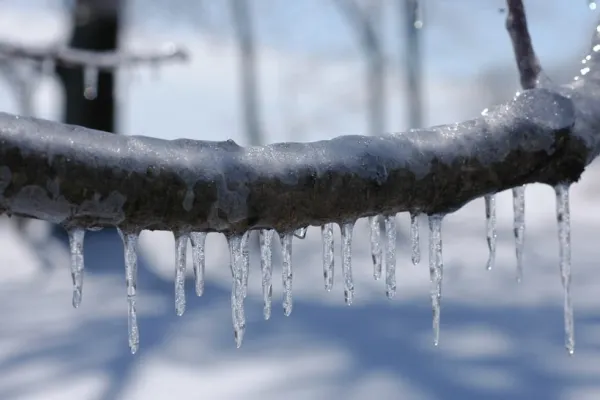 Prognoza meteo pe o lună. Cum va fi vremea în ianaurie 2025