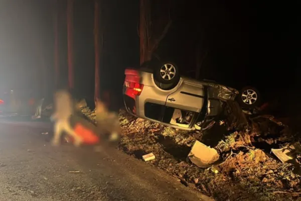 Grav accident rutier în Tulcea. O tânără de 19 ani a pierdut controlul volanului și a intrat în pom