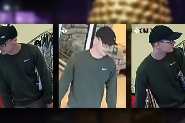 Procurorului general Alex Florența a discutat cu omologul olandez despre furtul tezaurului dacic. Poliția olandeză a difuzat o FOTOGRAFIE cu un suspect