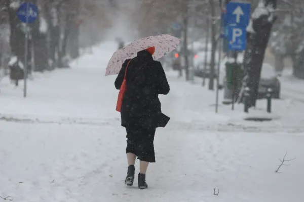 Primăria Sectorului 1 reziliază contractul cu Romprest. Mafia gunoaielor pierde contractul de milioane de euro după ce a lăsat Capitala în dezastru