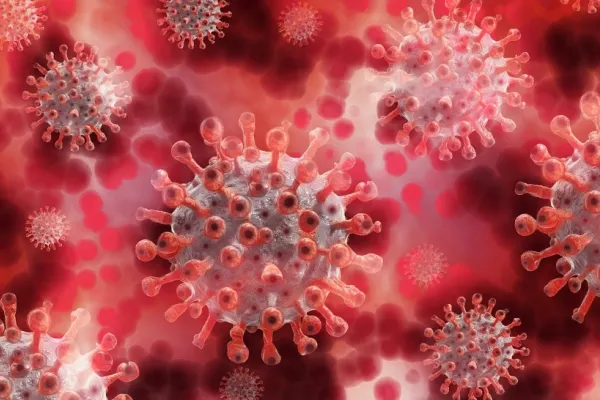 Un nou coronavirus descoperit la lilieci în Thailanda. Ce spun autoritățile despre amenințarea unui nou focar