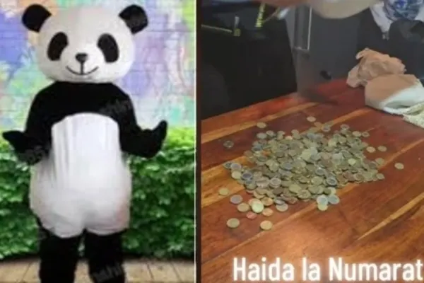Câți bani face un român îmbrăcat în costum de urs panda în Italia. „Oamenii donează o grămadă. Poliția te lasă în pace, n-are treabă cu tine”