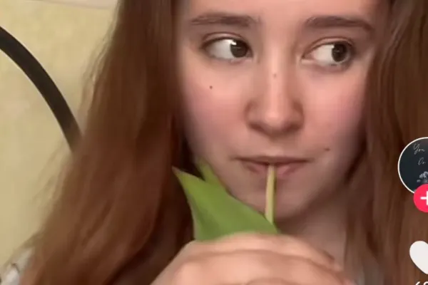 Un nou TREND periculos pe TikTok: consumul de lalele. Cât de nociv este pentru sănătate