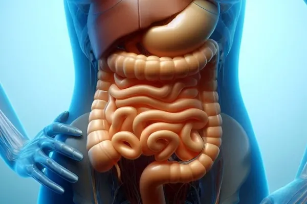 Cele mai bune băuturi pentru sănătatea intestinală. Ce trebuie să consumi pentru un tranzit corect