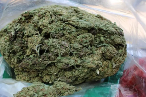 Surpriză pentru un moldovean din Italia: a primit un colet cu 9 kg de marijuana venit din Spania