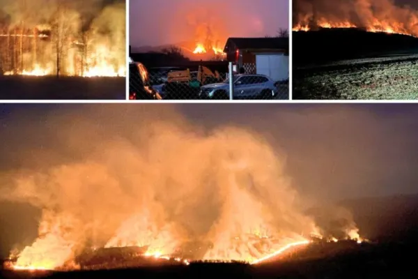 Peste 8.000 de hectare, mistuite de incendiile de vegetație. Polițiștii au început verificările, după ce 20 de incendii au distrus 200 de hectare de teren într-o singură zi