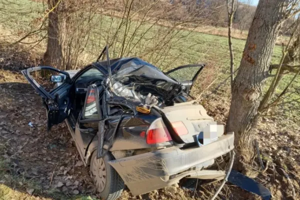 Accident devastator în Sibiu: un BMW s-a rupt în două după ce a intrat cu 200 de km/h în copac