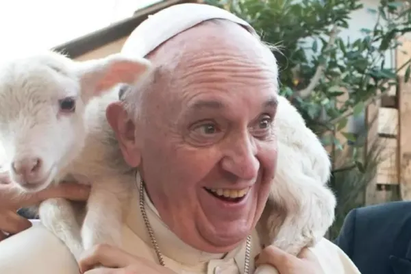 Trupul neînsuflețit al Papei Francisc va fi depus la Bazilica Sfântul Petru, începând de miercuri. Vaticanul urmează să anunțe cauzele decesului
