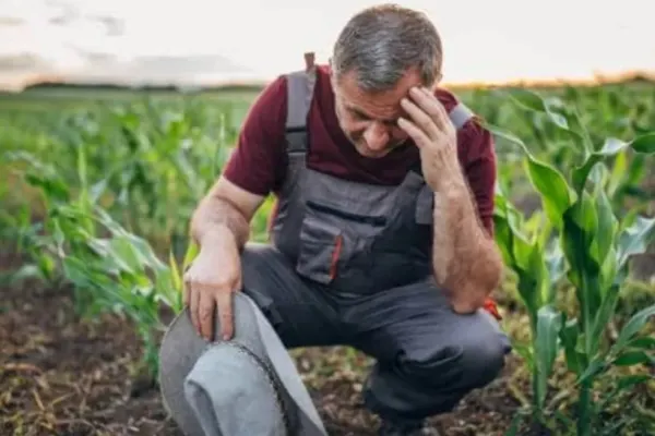 Prețul pentru îngrășământ s-a dublat. Alimentele vor deveni mult mai scumpe