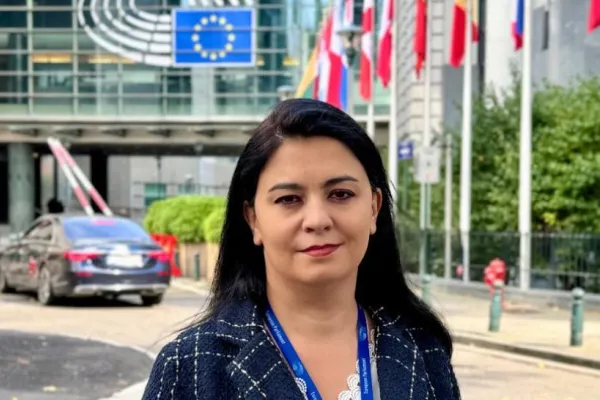 Europarlamentar AUR: Sfătuiesc partidul USR să deschidă o carte de istorie a României