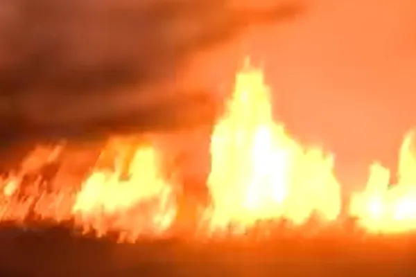 Incendii devastatoare în Bulgaria: 236 de focare, armata mobilizată, ajutor UE în drum