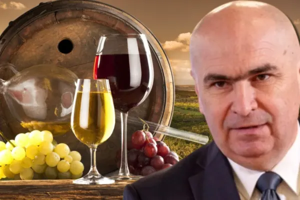 Vinul românesc, în colaps: Guvernul Bolojan a lăsat procesatorii fără oxigen, iar producătorii se sabotează între ei