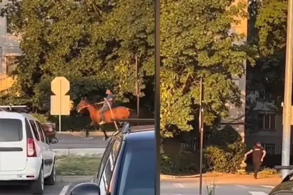 VIDEO. Un bărbat călare pe cal a pus pe jar poliția din Focșani. Polițiștii înarmați l-au fugărit printre blocuri pe haiducul modern